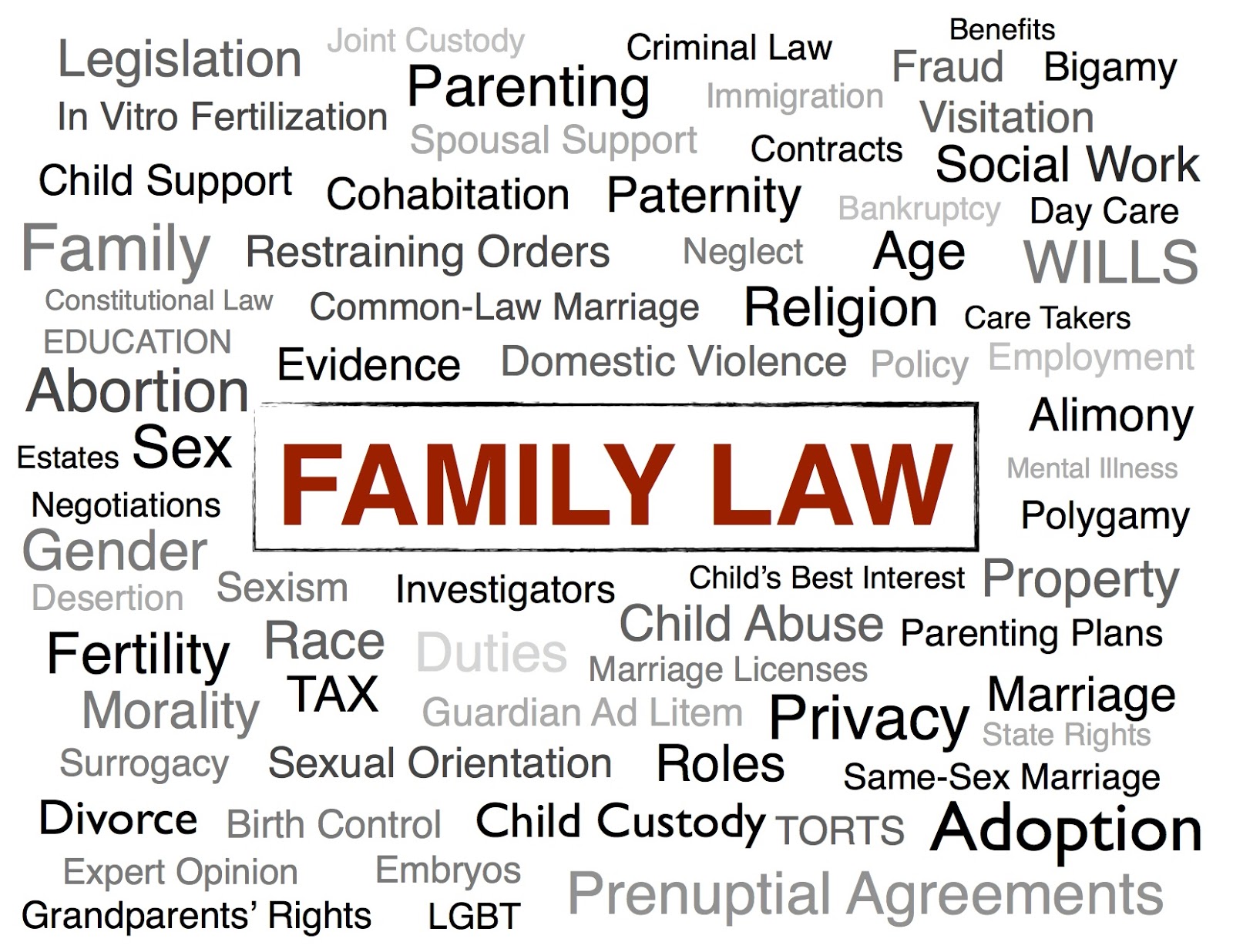 Family Law Issues
